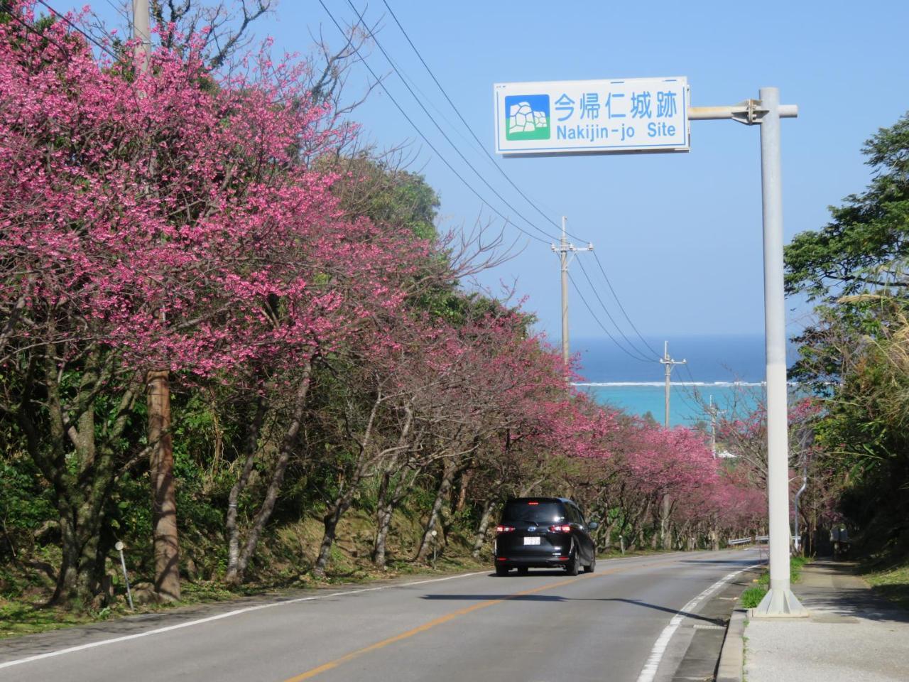 今归仁Okinawa Freedom别墅 外观 照片